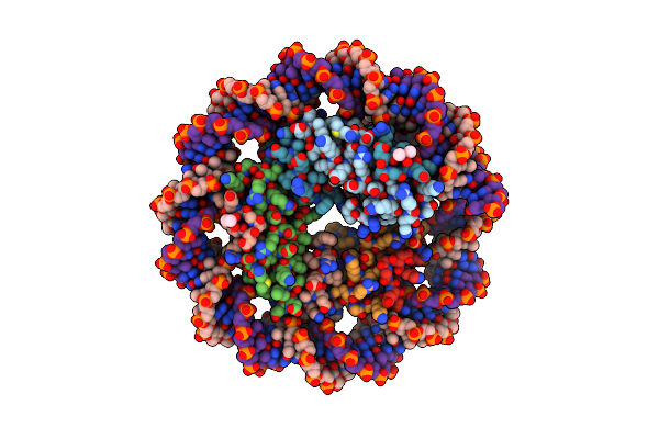 5T5K image