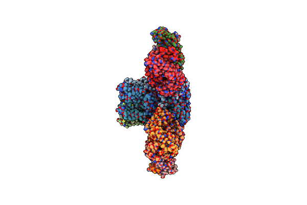 5T5N image