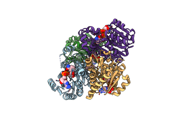 5T5Q image