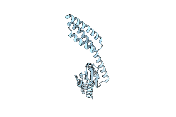 5T5S image