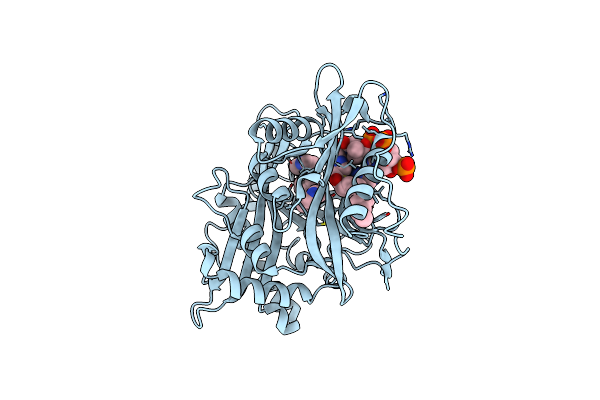 5T5U image