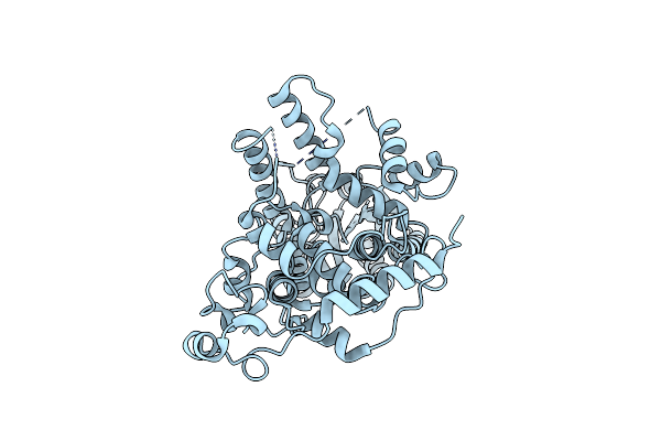 5T5X image