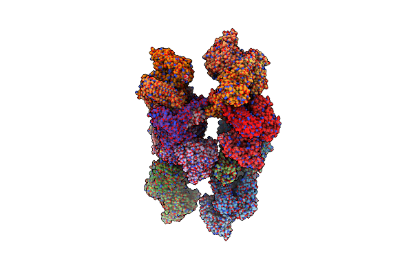 5T61 image