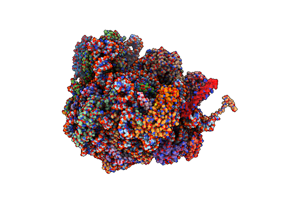 5T62 image
