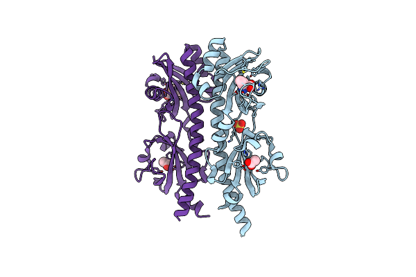 5T65 image