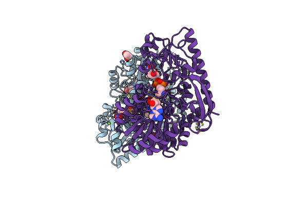 5T67 image