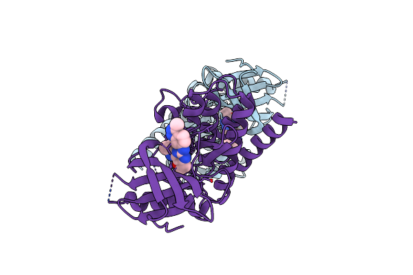 5T68 image