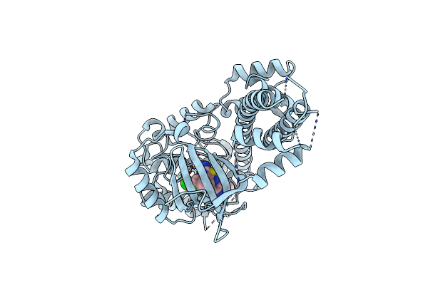 5T6A image