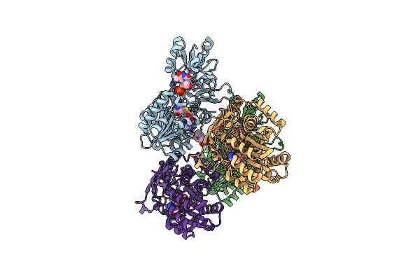 5T6B image