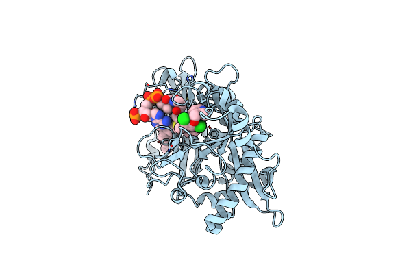 5T6C image