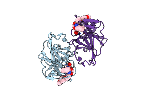 5T6D image