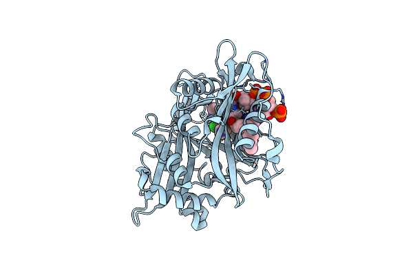 5T6H image