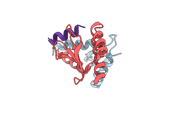 5T6J image