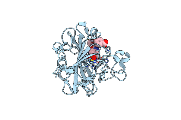 5T74 image