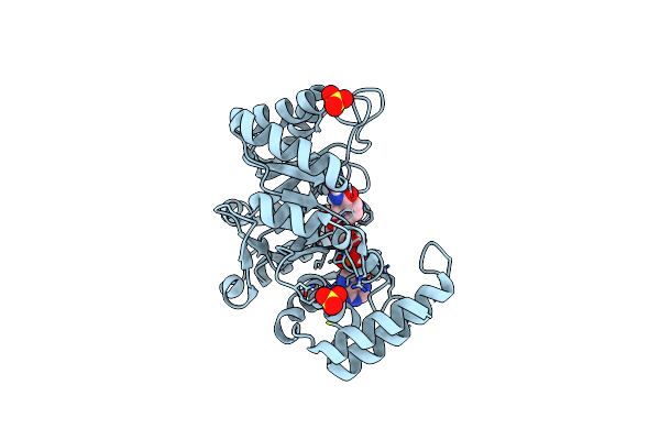 5T79 image