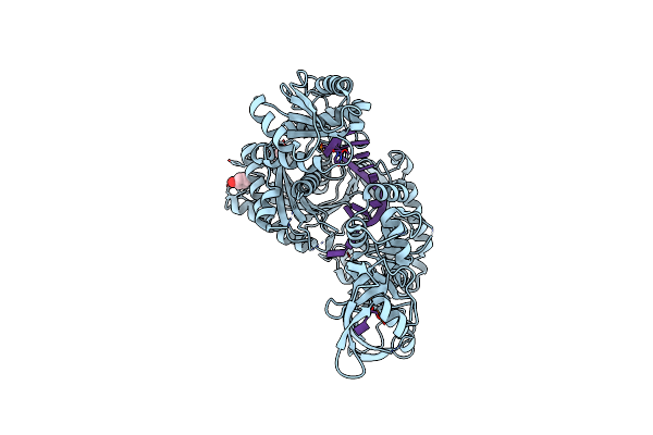 5T7B image