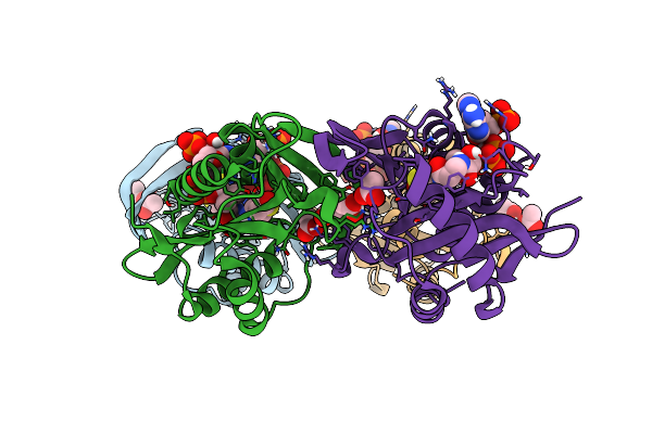 5T7D image