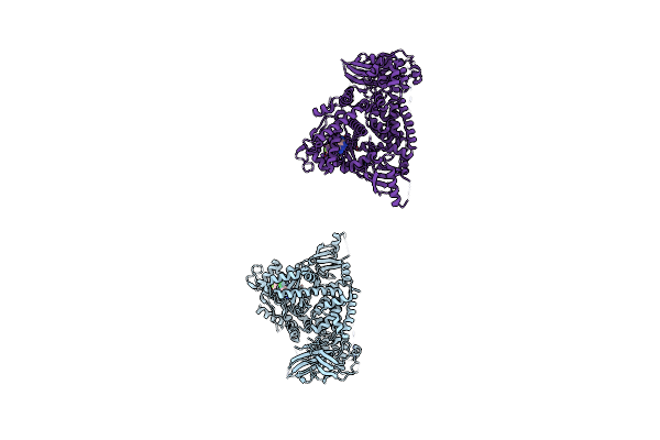 5T7F image