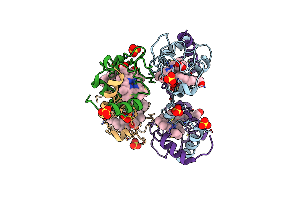 5T7H image
