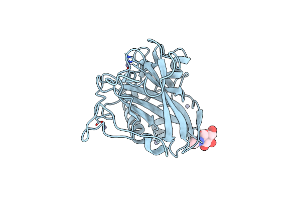 5T7K image