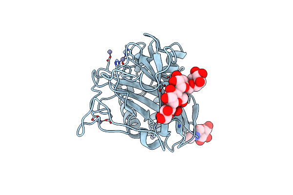 5T7N image