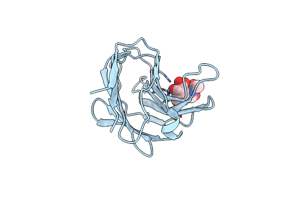 5T7T image