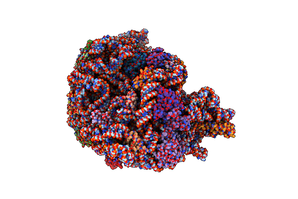 5T7V image