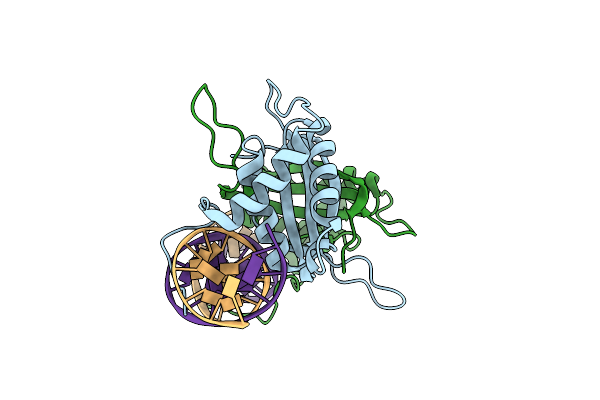 5T7X image