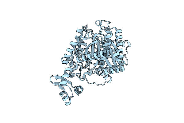 5T7Z image