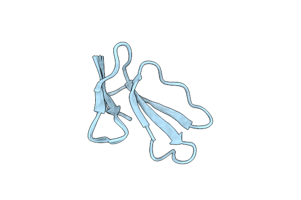 5T8A image