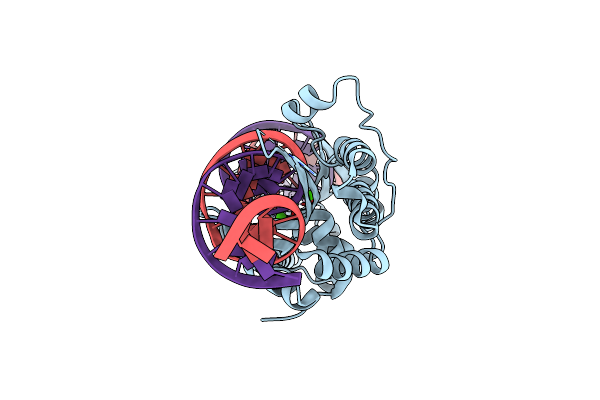 5T8D image