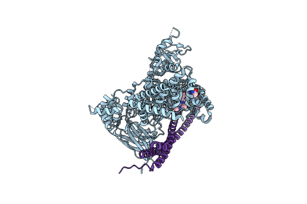 5T8F image