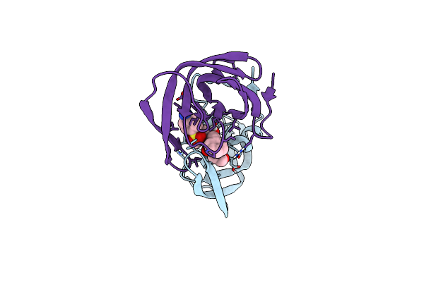5T8H image