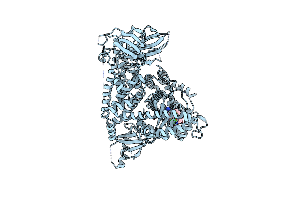 5T8I image