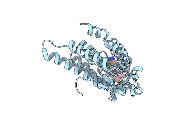 5T8J image