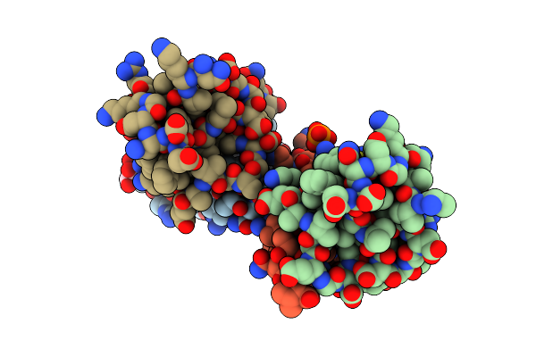 5T8R image