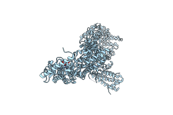 5T8V image