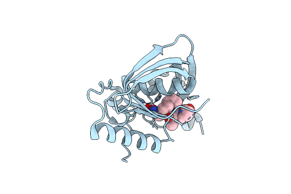 5T8Z image