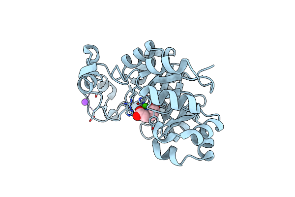 5T91 image