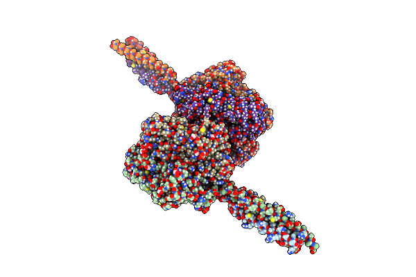 5T96 image