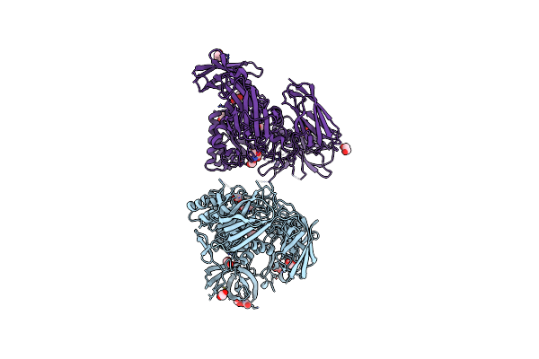 5T98 image
