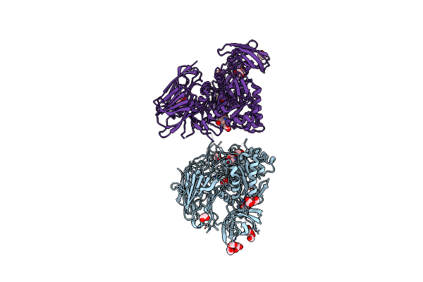 5T99 image