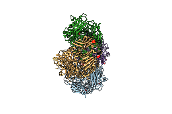 5T9A image