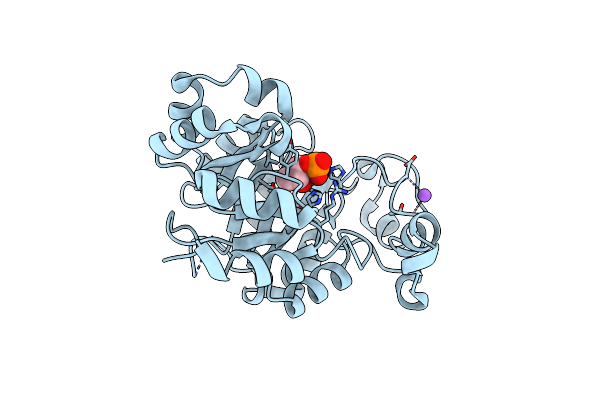 5T9B image