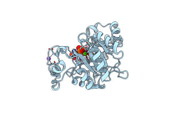 5T9C image