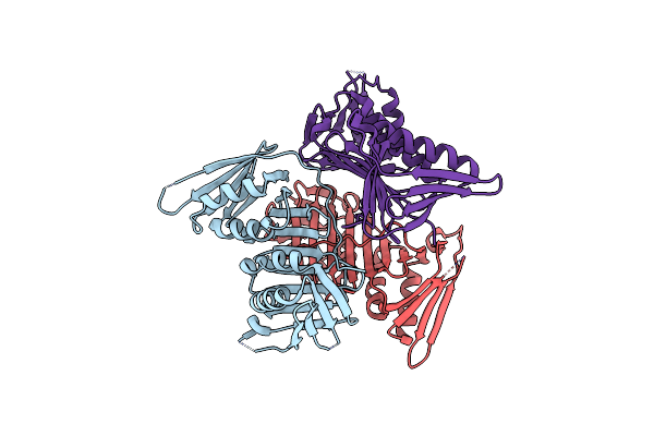 5T9D image