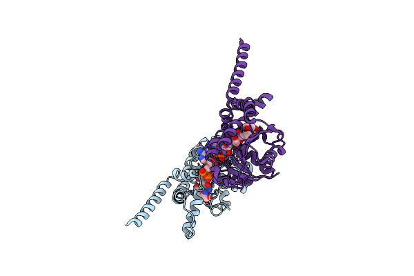 5T9F image