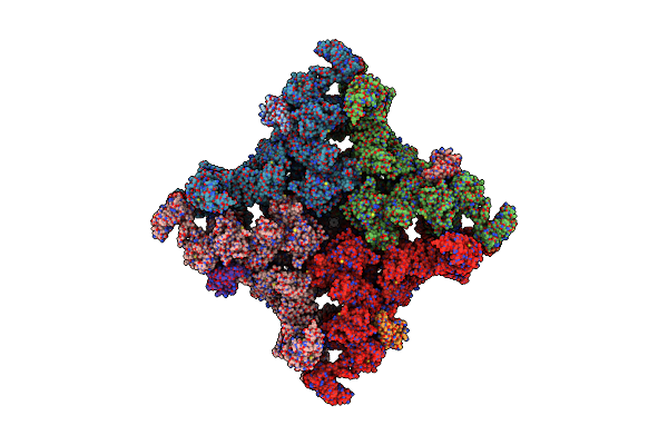5T9M image