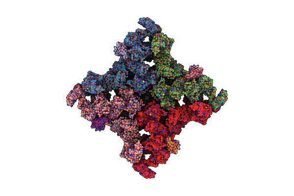 5T9N image