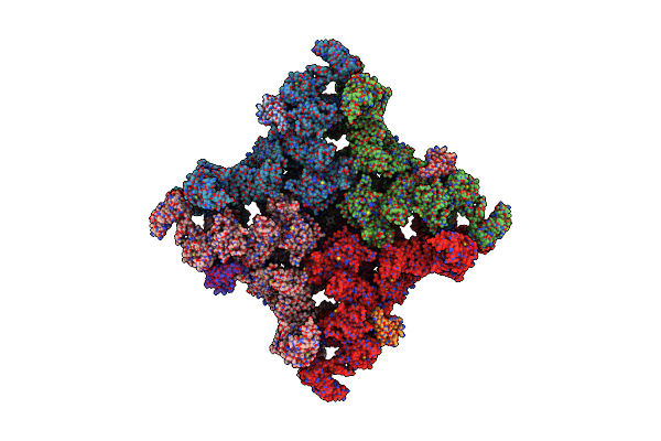 5T9R image